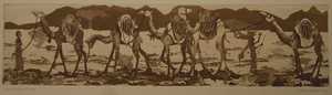 camel caravan: 24 x 6